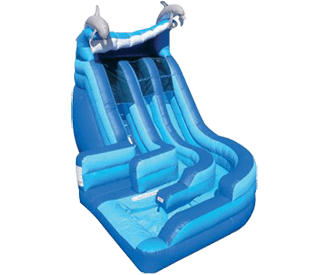 Dolphin Wild Splash w/ Pool Water Slide Rental