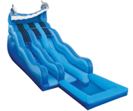 Dolphin Rip-n-Dip Water Slide Rental