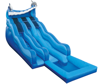 Dolphin Rip-n-Dip Water Slide Rental