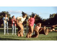 Sack Race Game Rental