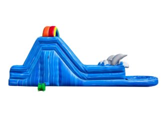 Single Lane Dolphin Climb N Water Slide 3